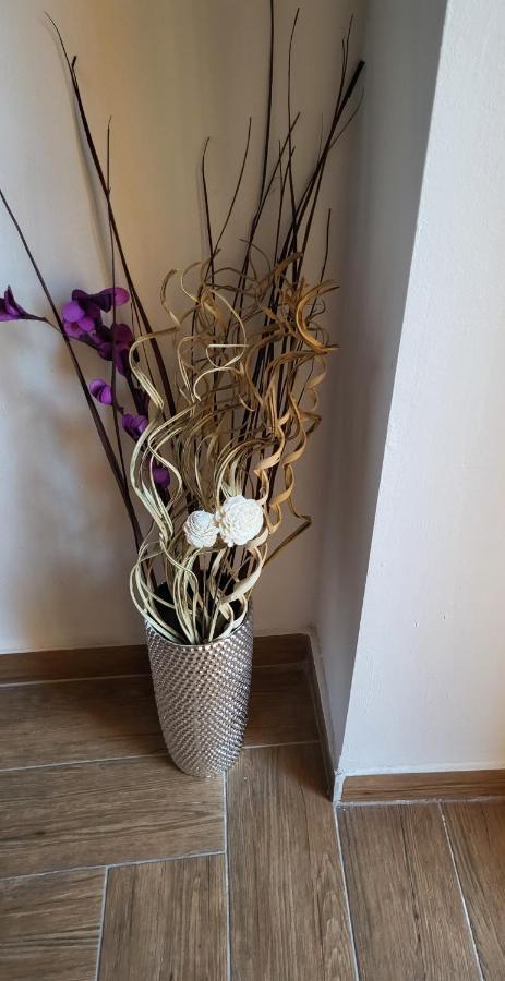 Rijeka Apartment With Free Parking And Large Balcony מראה חיצוני תמונה