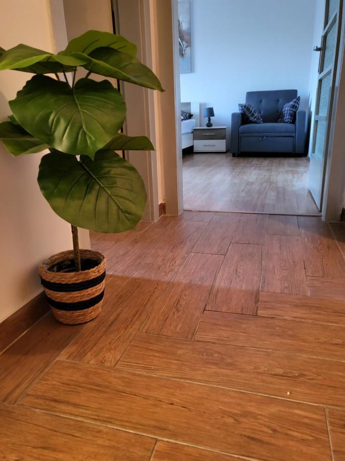 Rijeka Apartment With Free Parking And Large Balcony מראה חיצוני תמונה